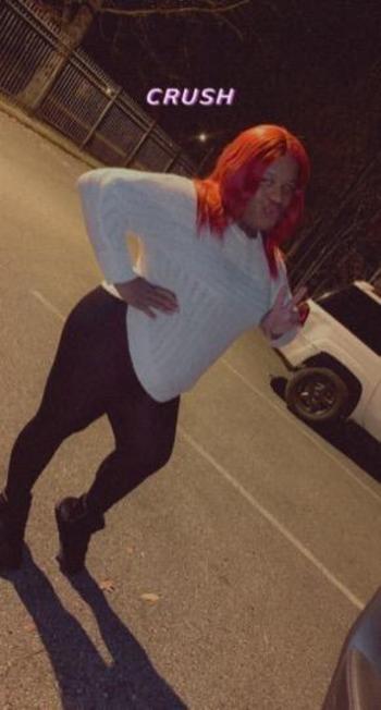 9016546704, transgender escort, Memphis