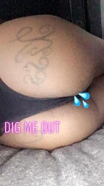 9018428101, transgender escort, Memphis